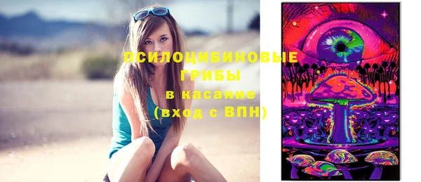 трава Балахна