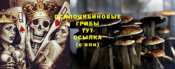 трава Балахна