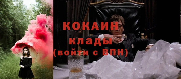 МДПВ Снежинск